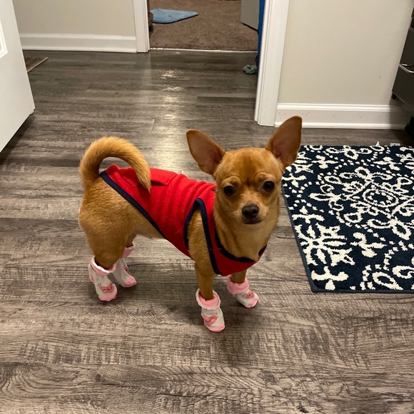 Meet your Posher, Tammy - Picture 2 of 2